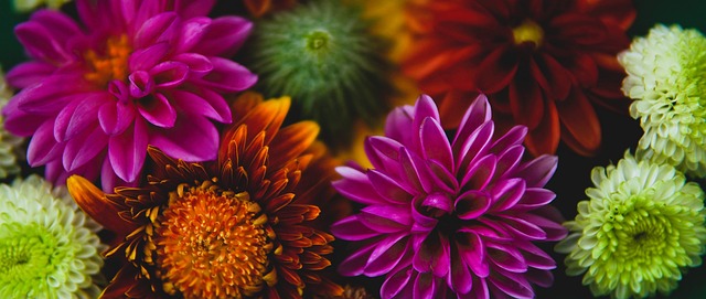 邮报：一组织发起诉讼，要FIFA赔偿球员因转会规定损失的收入