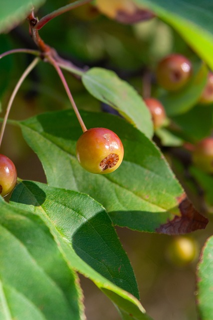 脚后跟破门，莱默尔：进球总是很开心，尤其是那么漂亮的进球