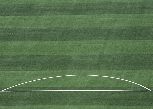 南昌马术俱乐部骑手包揽武汉马运会场地障碍60-80CM级别个人赛冠亚军