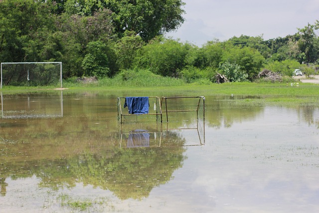 英超自17-18赛季以来门将扑救榜：皮克福德第1，德赫亚上榜